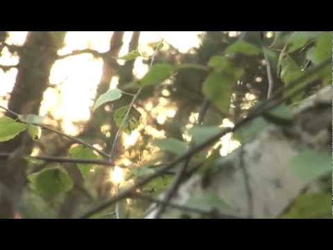 SPOT- Janusz-Korwin Mikke o Smolensku