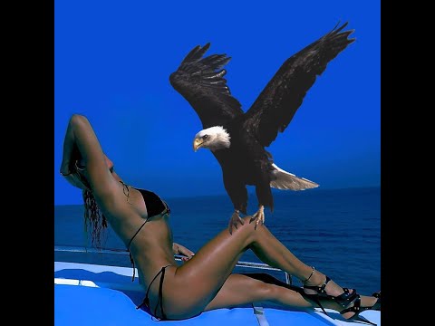 Sono   Keep Control ARTBAT  !!