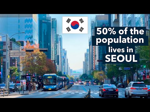 Why Soul is the Best City: Job Opportunities, Education, and Culture