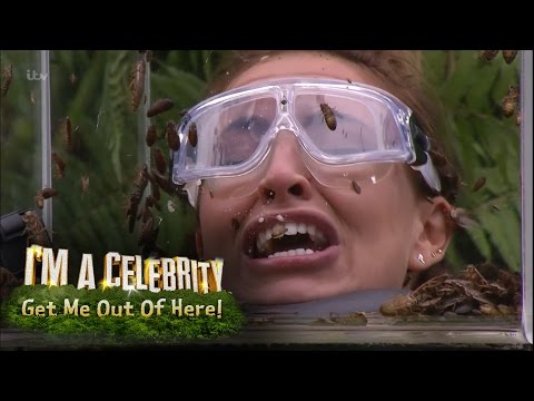 Ferne, Spencer and Vicky Face Terrifying Bushtucker Trial | I'm A Celebrity... Get Me Out Of Here!