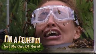 Ferne, Spencer and Vicky Face Terrifying Bushtucker Trial | I'm A Celebrity... Get Me Out Of Here!