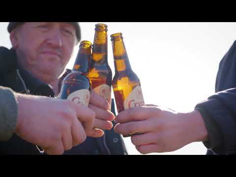 Alken Maes Gerstoogst