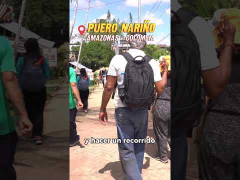 Conocer Puerto Nariño 🛶🐬 ¡Destino imperdible en Leticia!