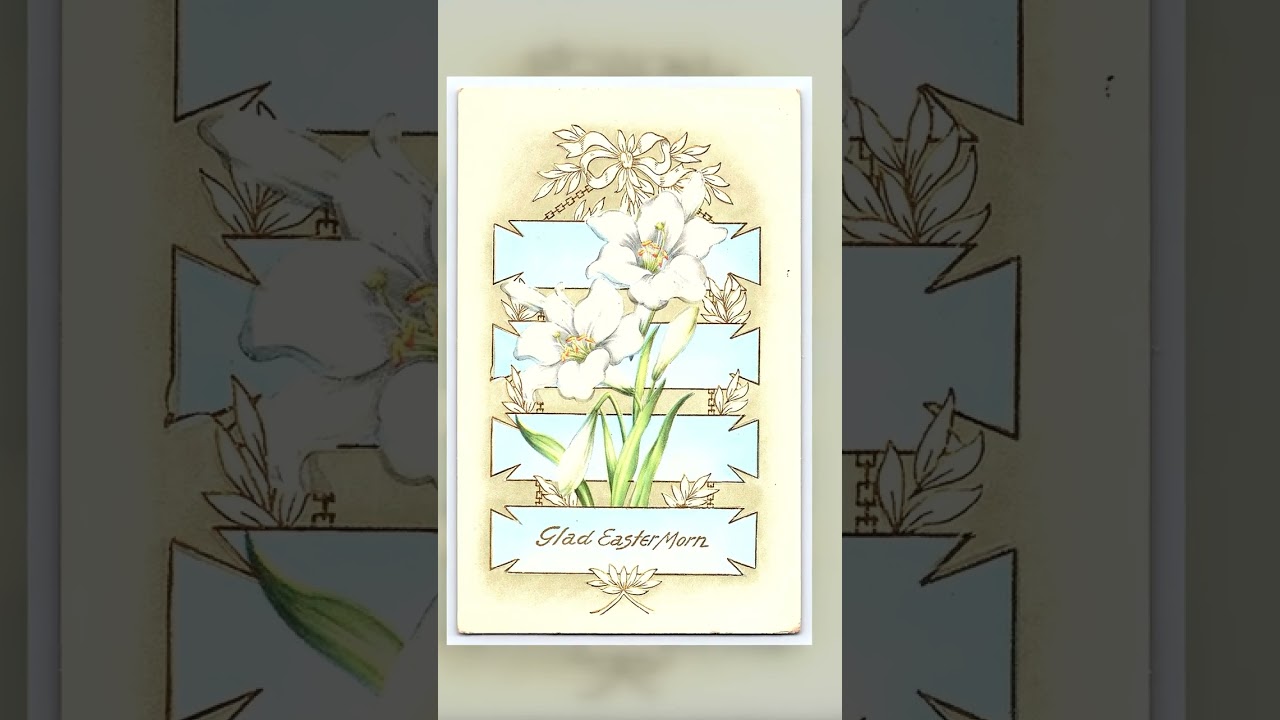 Whitney Made, Divided Back, Easter Lily, Moricon WI, 1913 Video