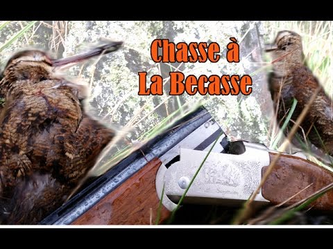 comment declarer fusil de chasse