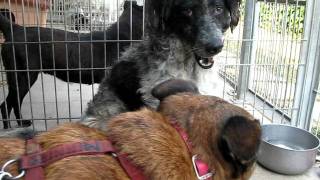 CENTRIFUGA 6 LUGLIO 2011_MVI_1323.AVI