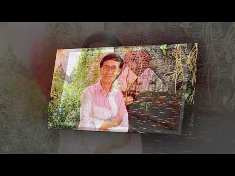 Chia nửa đời đôi - Nam Vĩnh