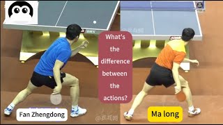 There is only one forehand loop technique that can produce the highest-quality shots in the world
