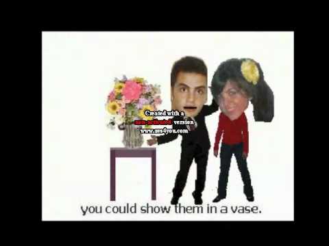 Niloofar tavalodet mobarak