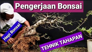 Download lagu How to Make Bonsai Ileng Ileng With Stage Technique mp3 Download lagu How to Make Bonsai Ileng Ileng With Stage Technique mp3