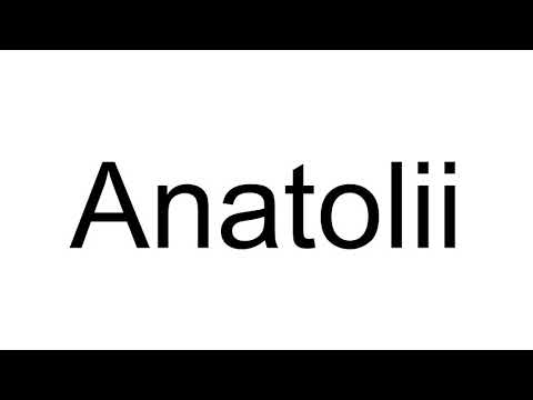 How to Pronounce Anatolii