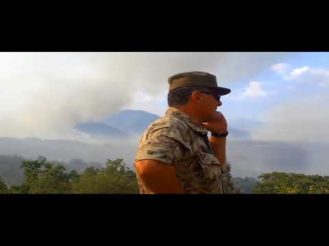 01a INCENDI 500 ETTARI DI BOSCO BRUCIATI A PREZZA, SALVE LE COLTURE