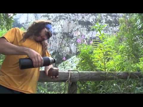 JIM BRIDWELL. Trailer