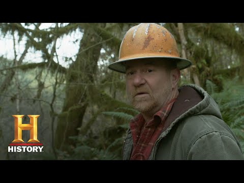 Ax Men: Dwayne Back on the Job (Season 10) | History