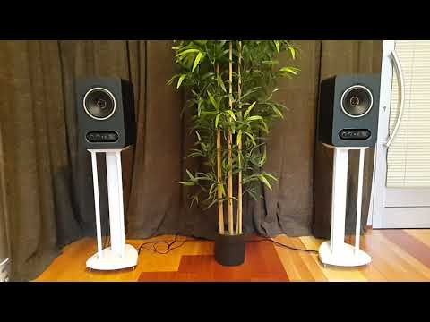 Демонстрация звучания студийного монитора Tannoy GOLD 7