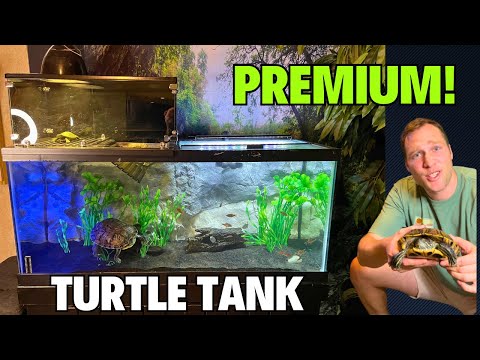 Turtle Tank Setup - Step by Step Adult Pet Turtle Setup - Looks Natural and Hides Tubing and Heater