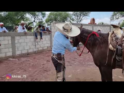 C19P3 EL CAMINO AL FUTURITY VIP - Jesús "Kíkiras" Castañeda Cobrando Cheque con sus dos potrancas