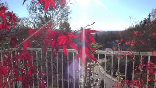 ♥ "The Shadow of Your Smile" - easy listening instrumental