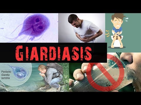 hogyan lehet giardiasis