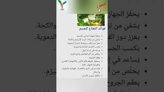 فوائد النعناع للجسم صحة أطعمة فوائد معلومات