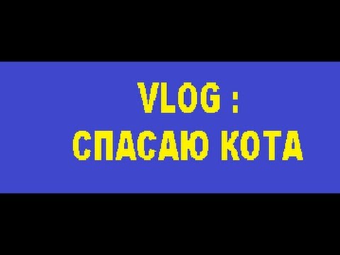 СПАСАЮ КОТА