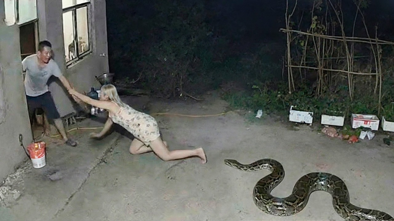 Die unerwartetsten Momente auf Überwachungsaufnahmen