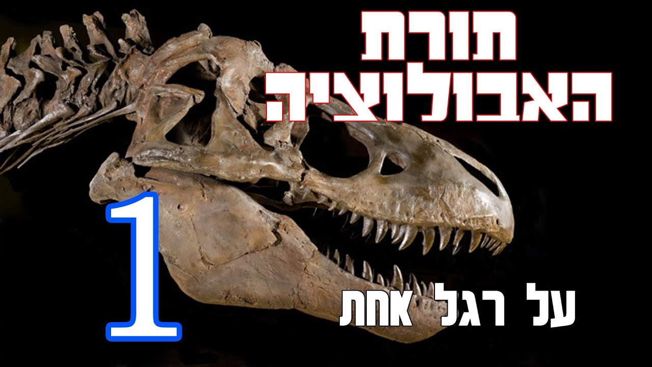 תורת האבולוציה על רגל אחת – 1