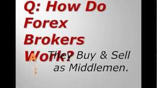 How Do Forex Brokers Work?