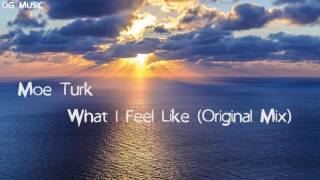Moe Turk - What I Feel Like video
