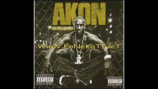 Akon  - Never Took The Time
