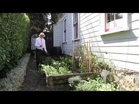 Martin Honey - 11 Mariri Road One Tree Hill