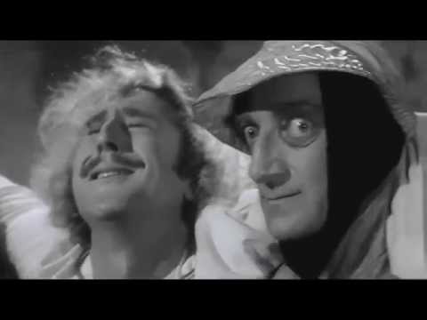 El Jovencito Frankenstein