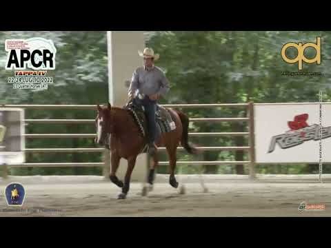 NRHA APCR SUN SPIN 2022 - DEL ZOPPO FEDERICO & GD WIMPY TARIS STEP score 70,5