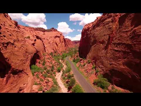 Brothertiger - Arizona (Official Video)