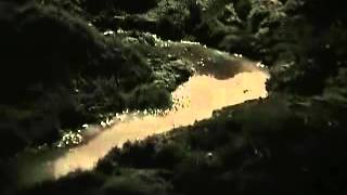 if you go away - scott walker / andrei tarkovsky