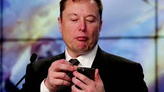Bots or bucks? What's behind Musk's Twitter 'hold'?