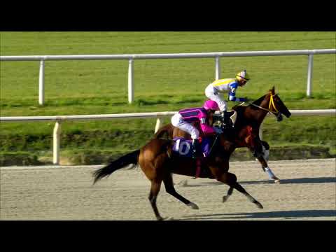 211121 c06 JUMPINGBOARD (BRZ)