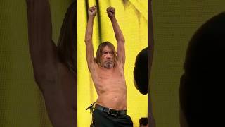 👕🎸 Red Hot Chili Peppers + Iggy Pop: Divisive Energy Fuels the Tour 2023! #IggyPop #rhcp