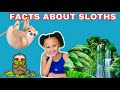 Sloth Facts For Kids/ Home or Classroom learning/ All about Sloths