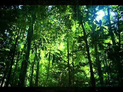 download lagu mp3 mp4 Ursula Eittinger, download lagu Ursula Eittinger gratis, unduh video klip Ursula Eittinger