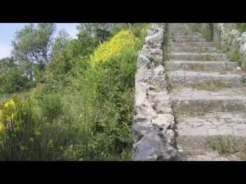 Bestattungen Fraund/Amelung OHG YouTube-Vdeominiatur 5