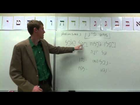 Weak Verbs: פ״נ - Part 2