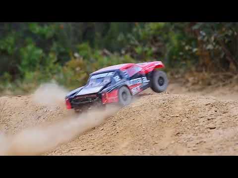 DHK 8135 Hunter 4WD Profession RC 1/10 electric RTR Short-course T