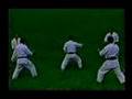 Bunkai Do Heian Shodan