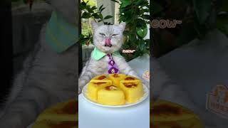 How Chef Cat Makes Baked Milk Pudding At Home😋😉 | Chef Cat Cooking  #tiktok #Shorts