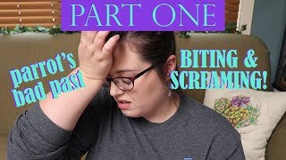 My Parrot Had A Traumatizing Past... | Sydney's Story Part 1 | Rescue Parrot Training