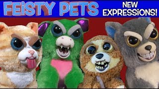 Feisty Pets New Expressions!