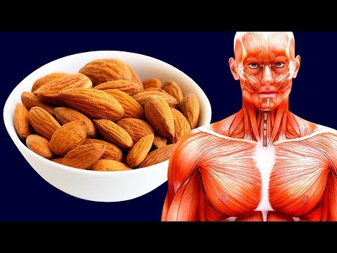 Faire tomber à la pression artérielle Pour traiter lavoine de lhypertension