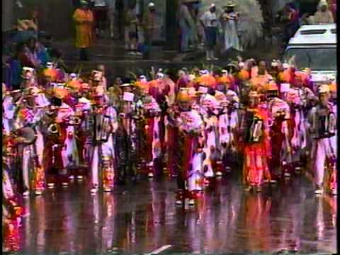 1993 Summer Mummers Greater Kensington String Band