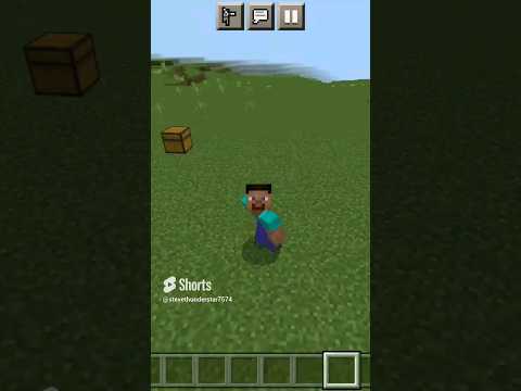 Get rich quick in Minecraft with Steve!